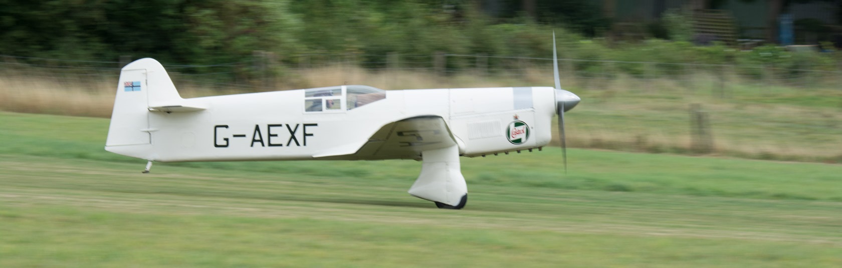 Was there ever a prettier, more purposeful-looking, aeroplane?